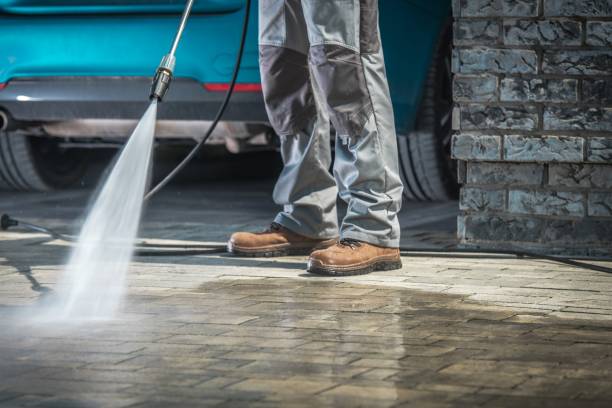 Best Winterizing Services  in Kidron, OH