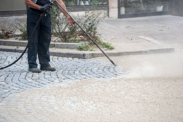Best Sidewalk and Walkway Cleaning  in Kidron, OH